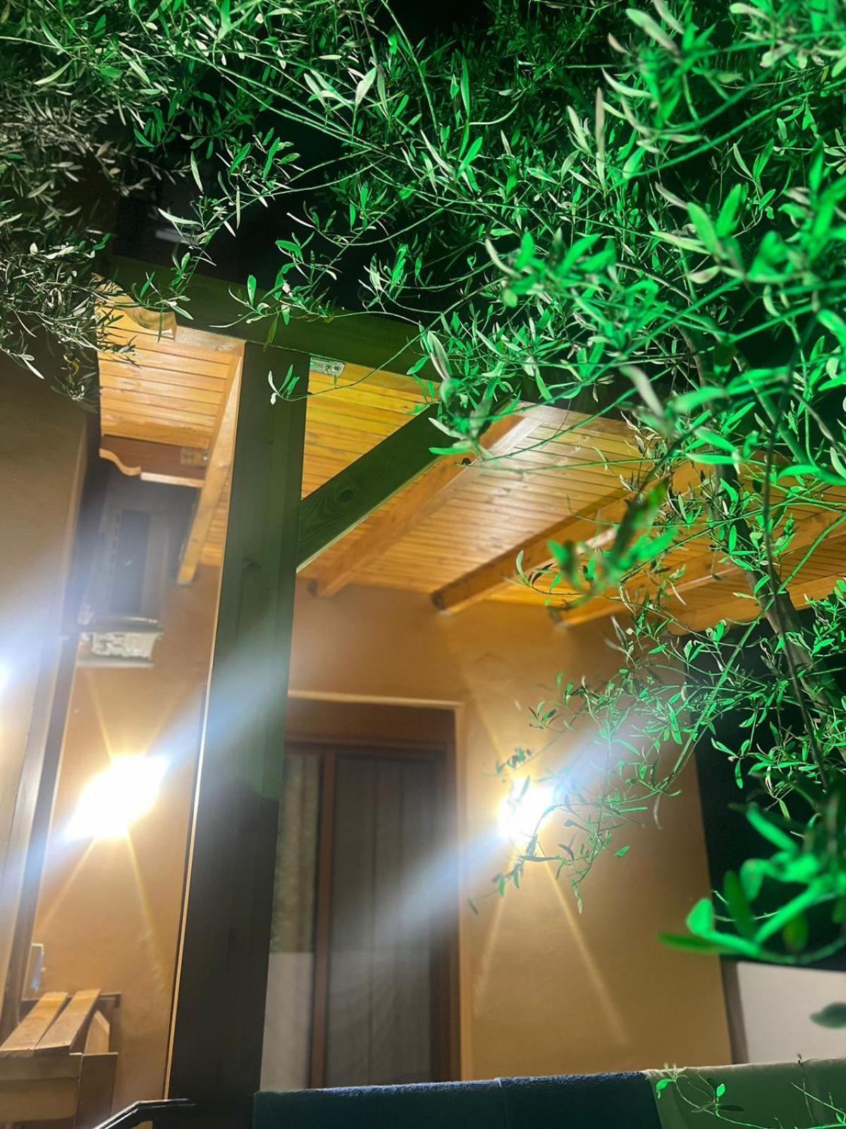 Vila Magis Vlorë Екстериор снимка