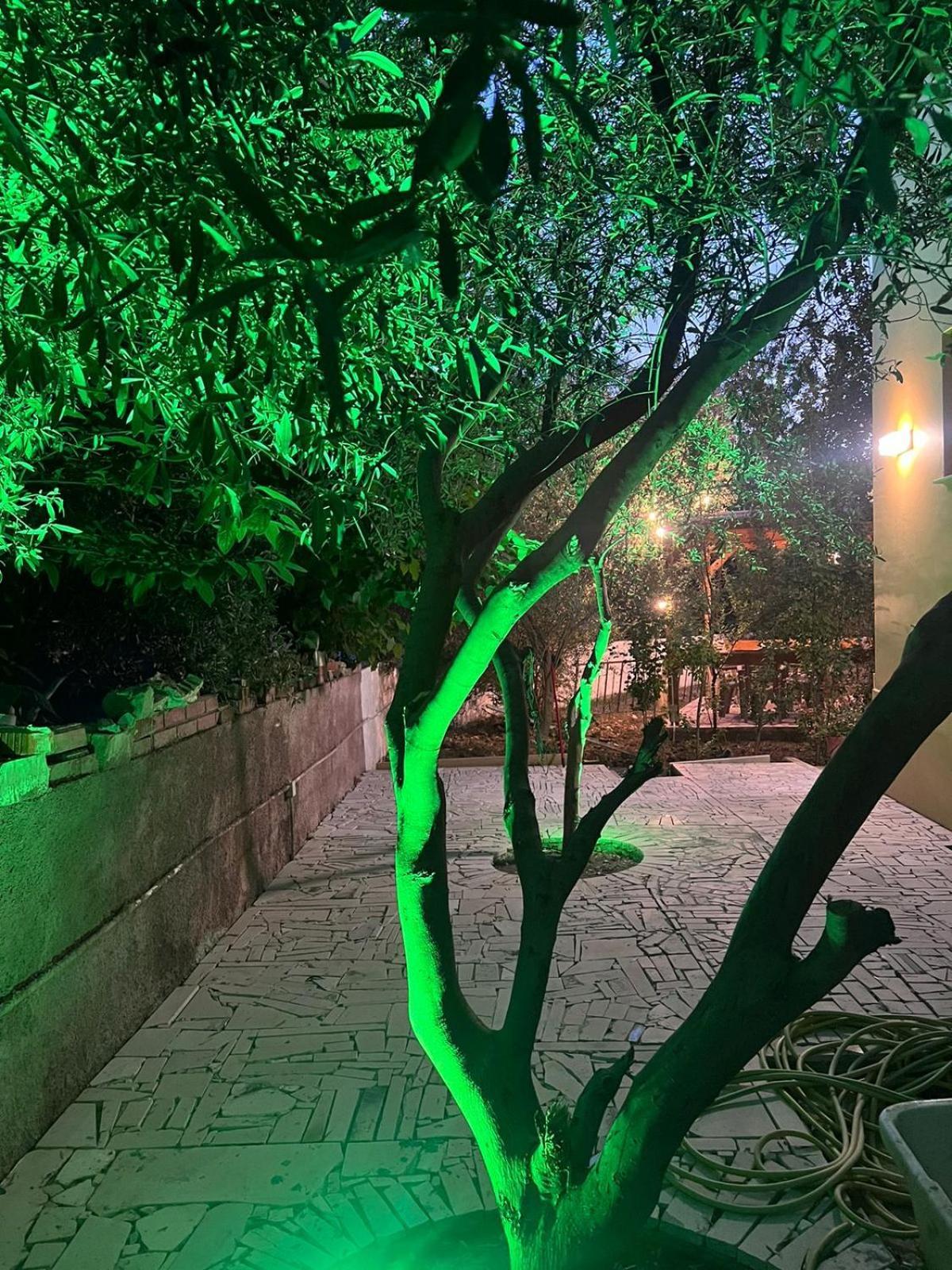 Vila Magis Vlorë Екстериор снимка