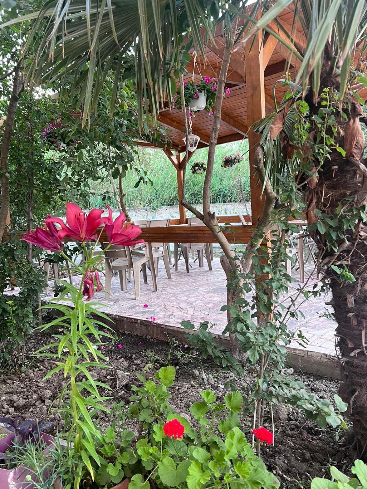 Vila Magis Vlorë Екстериор снимка